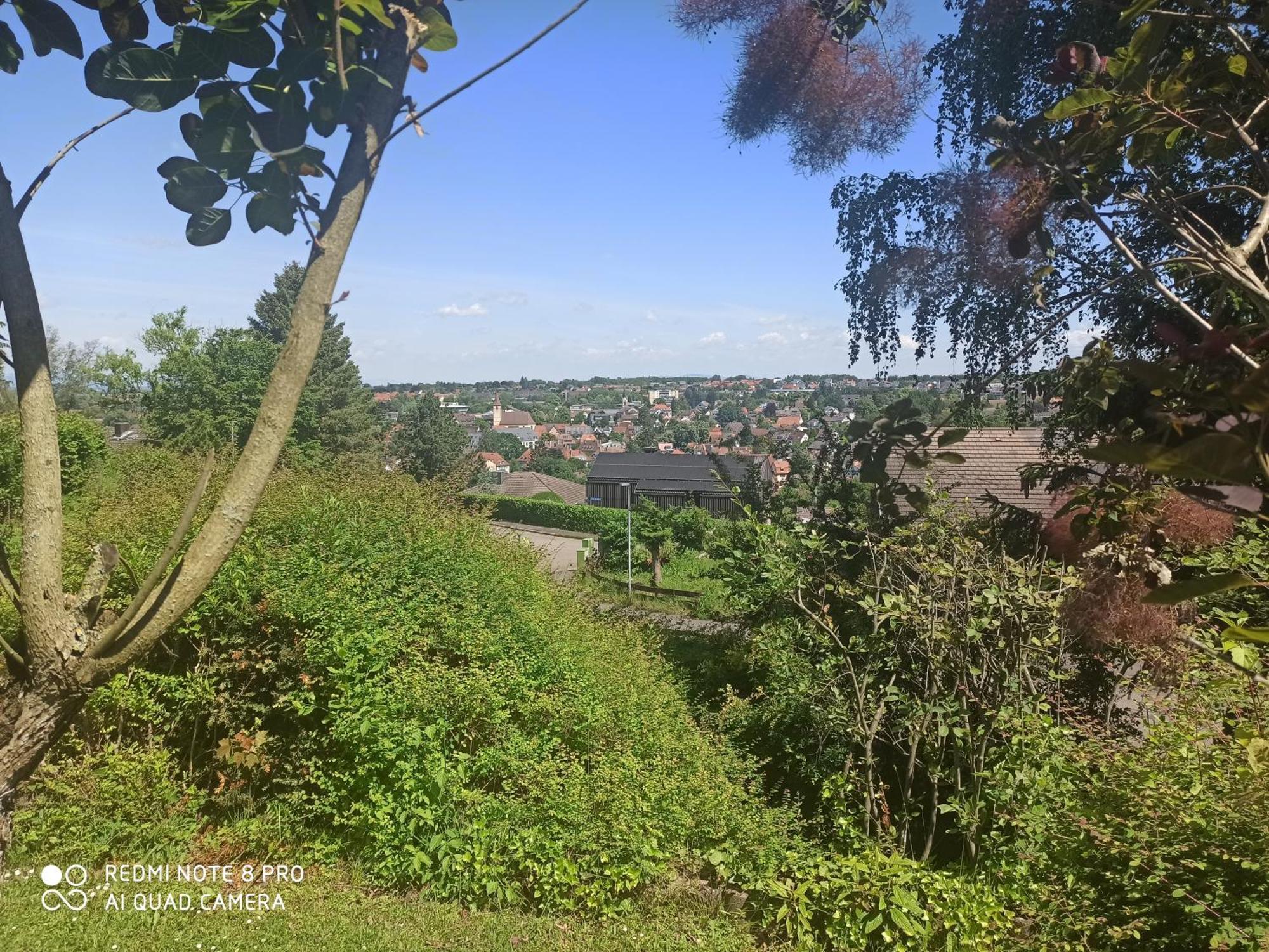Haus Roetebuck Apartman Müllheim Kültér fotó